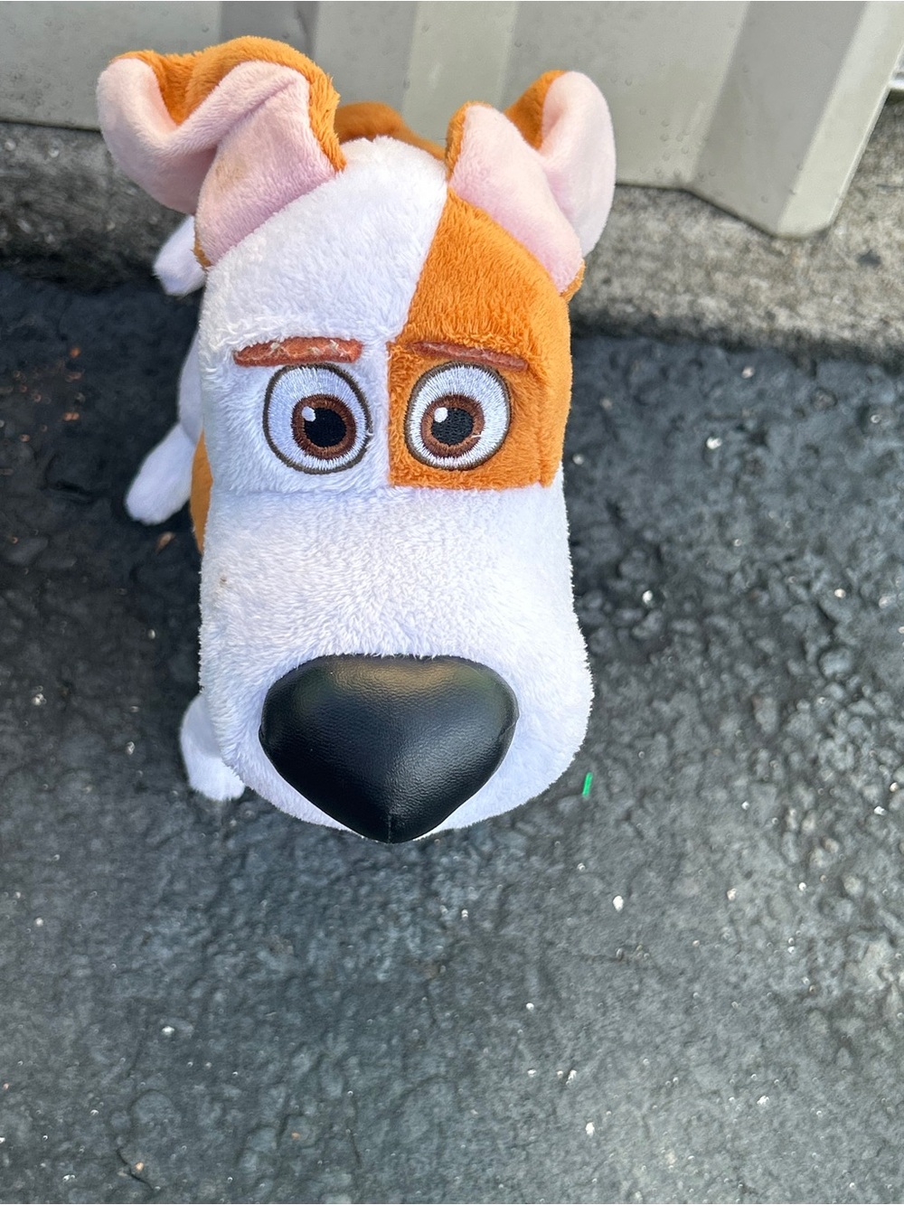 Plush Puppy Stuffed Animal - White and Brown Soft Cuddly Toy